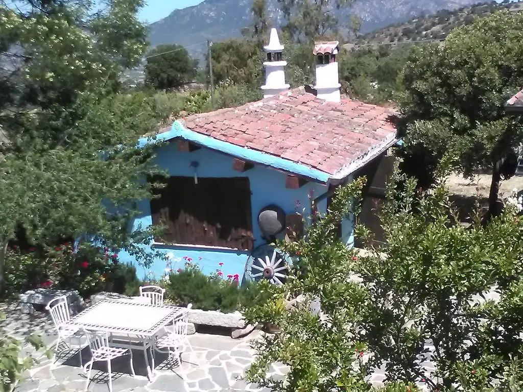 Alloggio per agriturismo Agriturismo Camisadu Oliena Italia